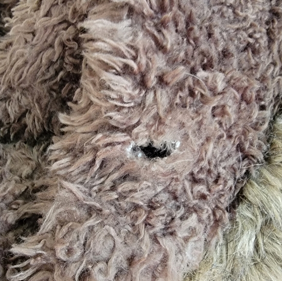 American Eagle Outfitters Women's Fur lined Hooded Coat size S/P - Picture 3 of 12